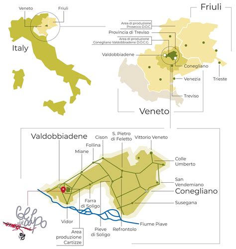 Prosecco DOCG: area, produzione e significato