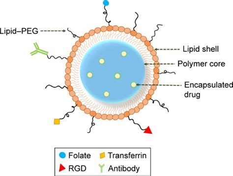 Lipids Polymer