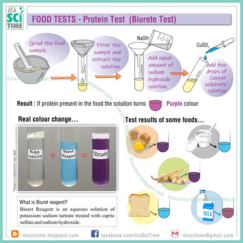 Its SciTime: Protein Test (Biuret Test)