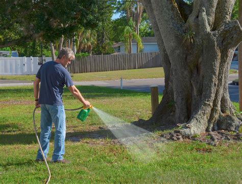 How To Make Homemade Fertilizer For Your Lawn - Backyard Boss