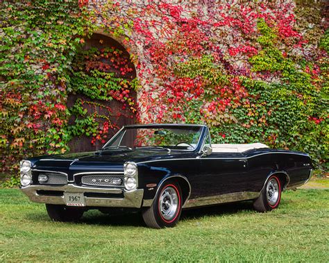 1967 Pontiac GTO Convertible Black 3/4 Front View On Grass By Ivy ...