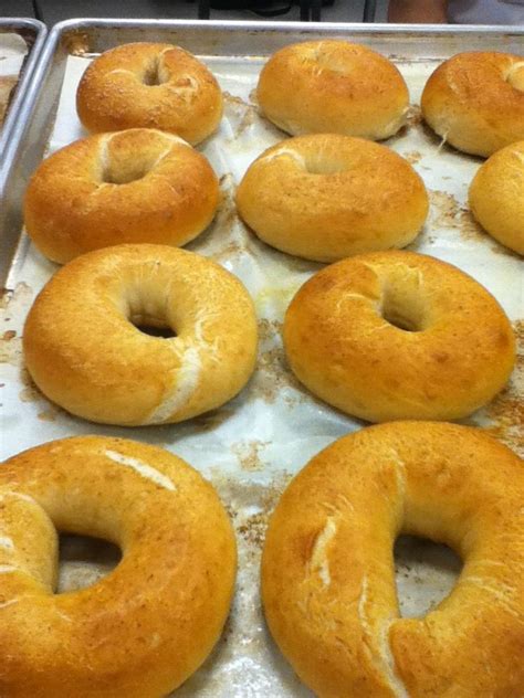 plain bagel | Cooking recipes, Plain bagel, Food