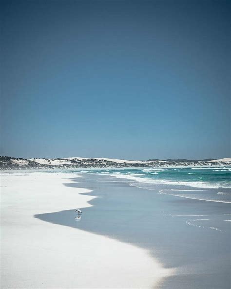 Eyre Peninsula Beaches - Travel Guide – The Green Adventurers