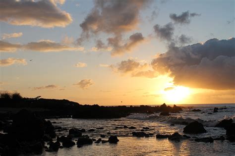 Hawaii Sunrise Sandy Beach - Free photo on Pixabay - Pixabay