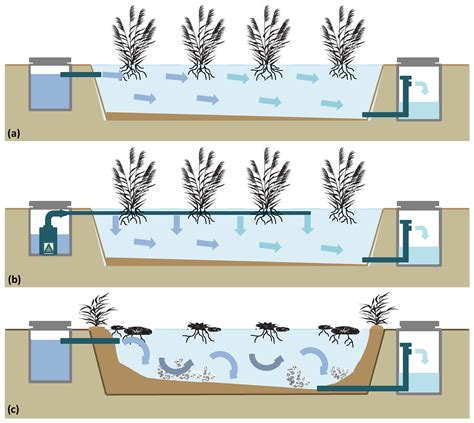 Types Of Constructed Wetlands