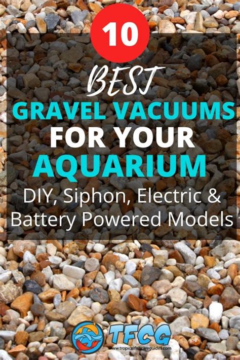 10 Best Fish Tank Gravel Cleaner Ideas Vacuums & Siphons (2021)