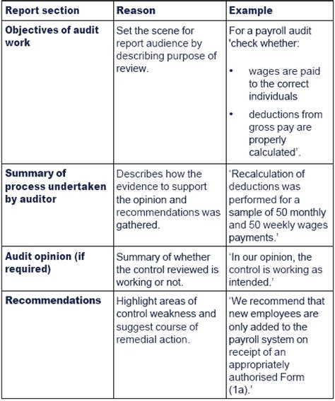 Internal Control Audit Report Template