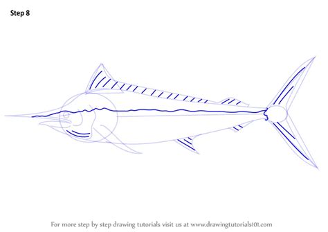 Learn How to Draw a Black Marlin (Fishes) Step by Step : Drawing Tutorials