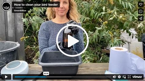 How to clean your bird feeder – Green&Blue