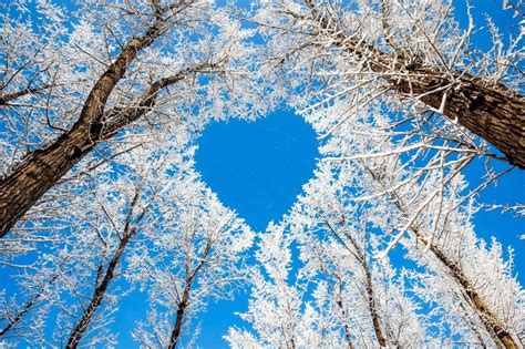 Heart Winter Wallpapers - Top Free Heart Winter Backgrounds - WallpaperAccess