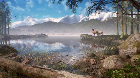 ArtStation - Canadian Forest