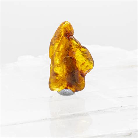 Shop Baltic Amber