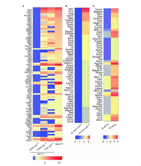 | NanoString nCounter gene expression analysis. (A) Heatmap... | Download Scientific Diagram