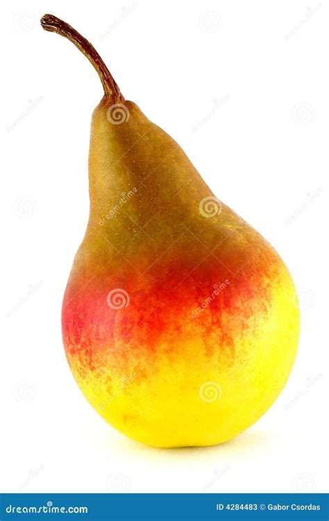 Hybrid fruit stock image. Image of hybrid, closeup, fruit - 4284483