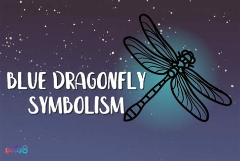 Blue Dragonfly Meaning: Omens from Insects & Nature – Spells8