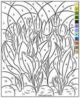 Nicoles Free Coloring Pages COLOR BY NUMBERS  COLORING PAGES sketch template