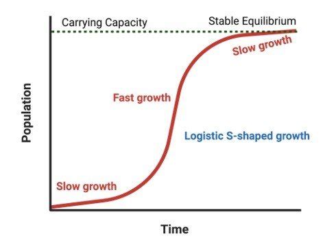 Carrying Capacity: Definition, Graph, and Examples