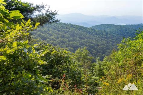 Hiking near Hiawassee, Georgia: our favorite trails – Trailful Outdoor Co.