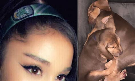 Ariana Grande Reveals She Has Two New Dogs, And Their Names Are ...