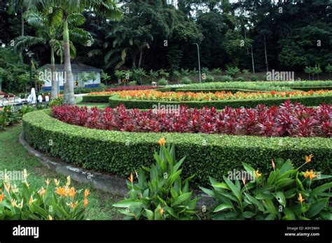 Flower Garden in Malaysia Stock Photo, Royalty Free Image: 12460636 - Alamy