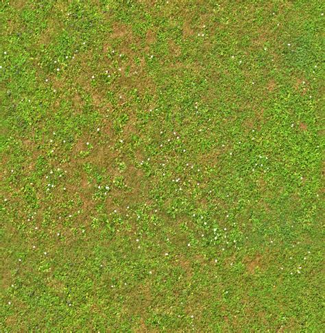 Grass (Verona) | Architextures | Grass texture seamless, Soil texture, Grass seamless