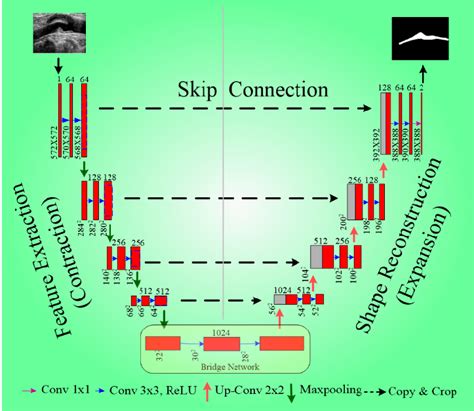 Basic UNet architecture showing encoder, decoder, bridge network, and ...