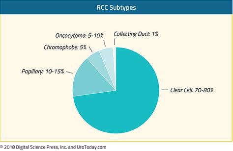 Treatment of Metastatic Non-Clear Cell RCC