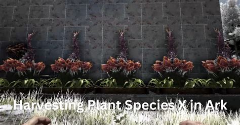 Where Can I Find Plant Species X in Ark - Nerd Lodge