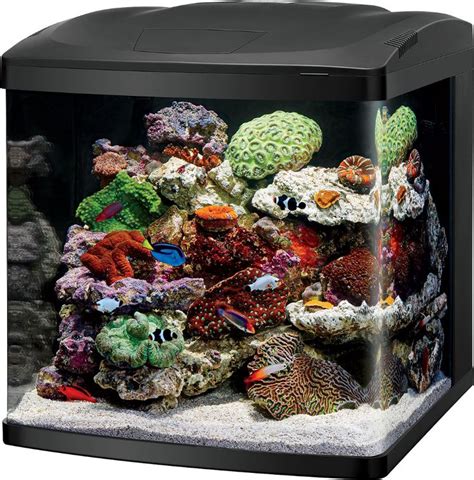 CORALIFE LED BioCube Aquarium Kit, 16-gal - Chewy.com | Nano reef tank, Aquarium kit, Cool fish ...