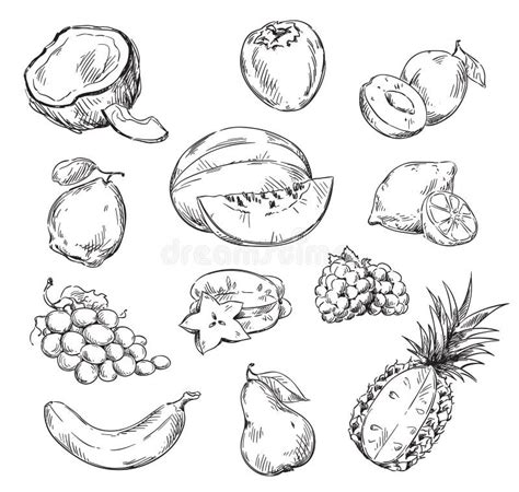 Fruits Drawing Sketches