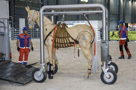 Horse Emergency je koňská záchranka zachraňující životy koní a velkých zvířat