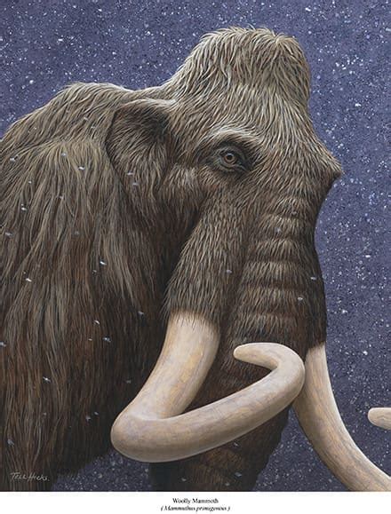 Woolly Mammoth by Tell Hicks-Art Print - ECO Wear & Publishing, Inc.