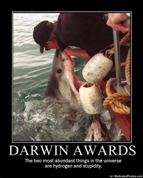 [Image - 519181] | The Darwin Awards | Know Your Meme