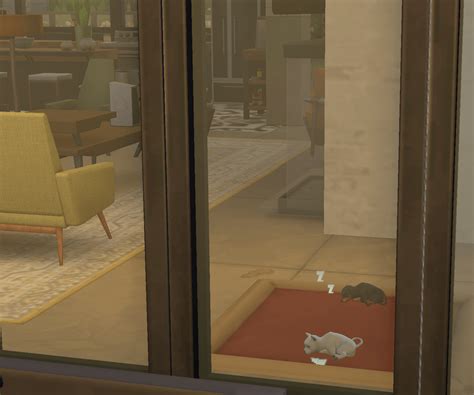 Spotted my two puppies sleeping together and I found it so cute : r/Sims4