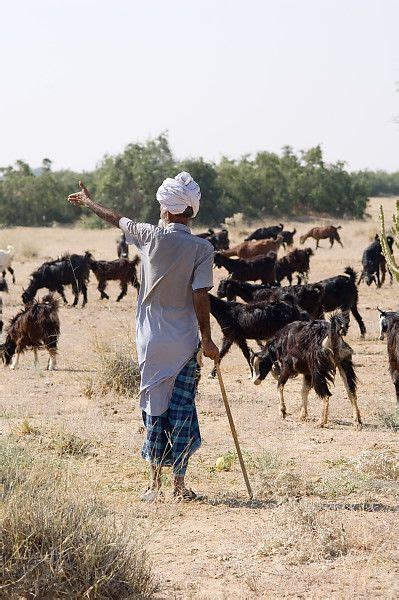 Goat Herder Goat Herder, Unity In Diversity, Indian Colours, Somali, Ansel Adams, Herding, Life ...