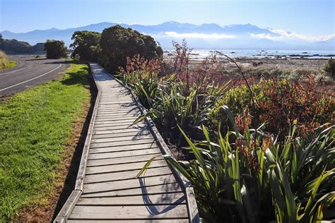 Kaikoura Peninsula Walkway: Clifftop Hike Above the Seal Colony