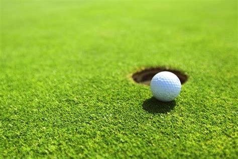 The Main Types of Grass in Golf - Golfsupport Blog | Golf, Play golf, Golf courses