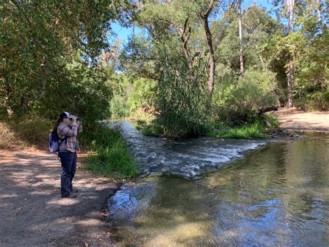 Anderson Lake County Park (Summer): Coyote Creek Nature Trail — Santa ...