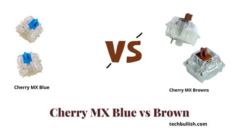 Cherry MX Brown vs Blue Switches: Which is Better?(2023)