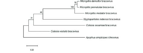 Phylogenetic tree constructed based on the evolutionary relationship of ...