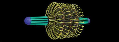 Marvelous Molecular Machines | The Institute for Creation Research