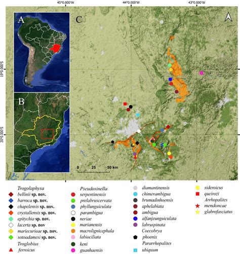 Subterranean species distributed in ferruginous rock in the state of... | Download Scientific ...