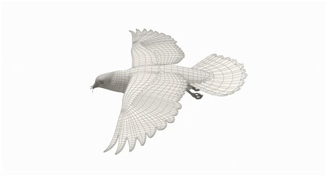 Dove Flying Animation 3D - TurboSquid 1349751