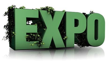 What Can I Expect From A Reptile Expo Near Me?