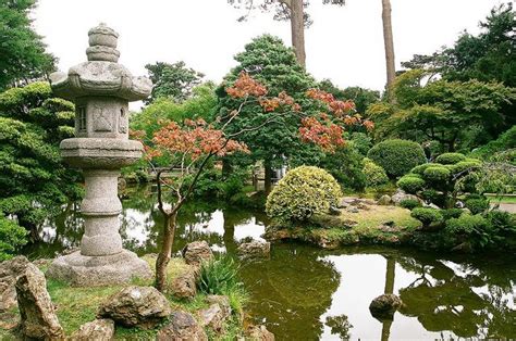 Japanese tea Garden- Golden Gate Park.