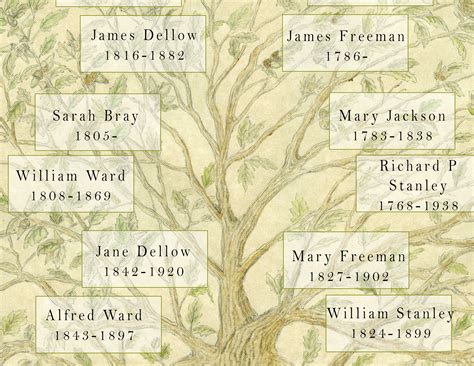 A custom family tree chart of your family tree to celebrate your genealogy and family members ...