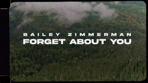 Forget About You (Lyric Video) by Bailey Zimmerman on TIDAL