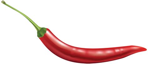 Chili Pepper Clipart at GetDrawings | Free download