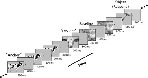 Trial structure of adaptation sequences in Experiment 1. Anchors were... | Download Scientific ...