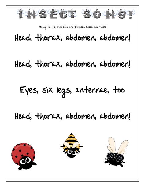 Teach it With Class: Sing Your Heart Out! | Insects preschool, Bugs preschool, Insects theme ...